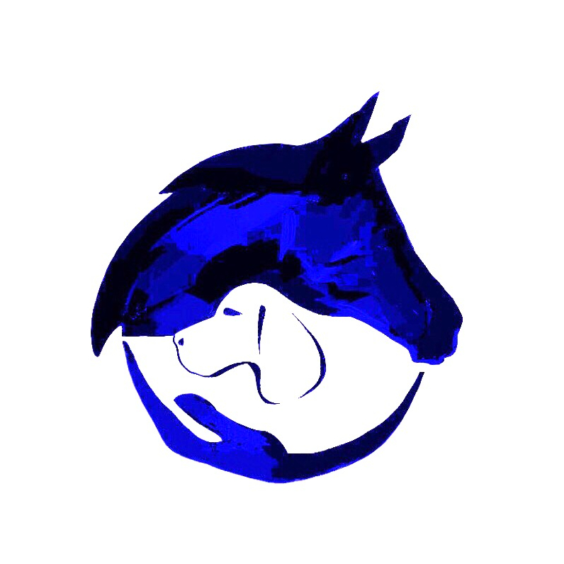 ADAnimal Physiotherapy